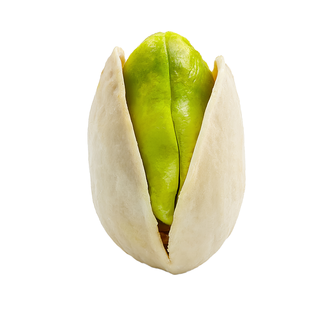 almond-kernel-on-a-white-isolated-background-2023-11-27-05-22-19-utc