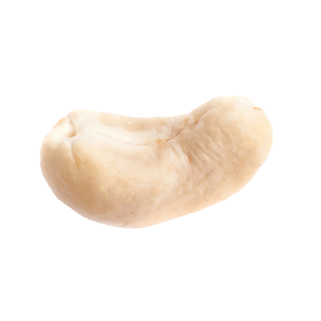 almond-kernel-on-a-white-isolated-background-2023-11-27-05-22-19-utc